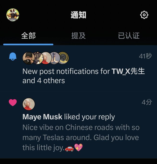 A Twitter/X notifications screen in Chinese showing 'New post notifications for TW_X先生 and 4 others' and a notification that 'Maye Musk liked your reply' with text 'Nice vibe on Chinese roads with so many Teslas around. Glad you love this little joy.'