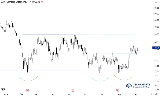 A daily candlestick chart of Coinbase Global, Inc. ($COIN) on NASDAQ shows the stock consolidating in a potential bull flag pattern around $187.79, with horizontal support near $151-155 and resistance near $220, as highlighted by the caption's emphasis on the short-term consolidation holding firm above key support levels.