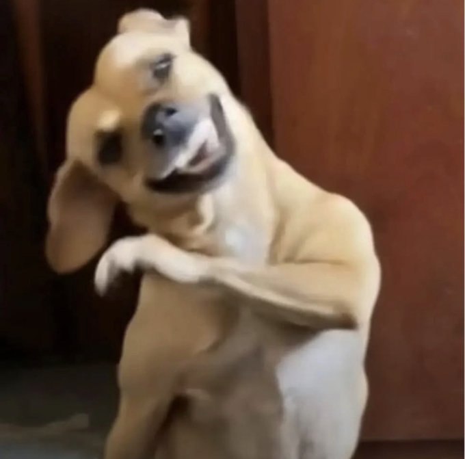 Close-up image of a smiling tan dog looking upward with one paw raised across its chest in a humorous pose.