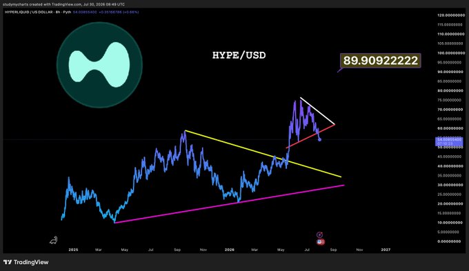 A TradingView chart of HYPE/USD created on July 30, 2026, shows the price at 89.90922222 with technical analysis lines drawn, including a descending triangle pattern near recent highs. The chart supports the post's question about shorting $HYPE on a potential breakdown, as the price appears to be testing key trendline support following the formation of a bearish triangle pattern.