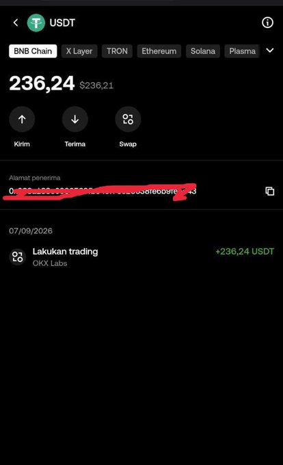 A cryptocurrency wallet screenshot showing USDT balance of 236.24 ($236.21) with options to send/receive/swap, on BNB Chain network, with a trading option from OKX Labs.