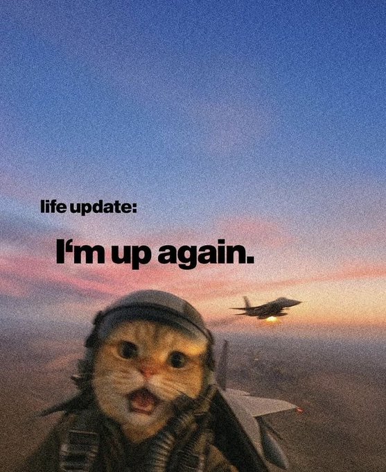A meme image showing a cat wearing a pilot helmet with the text 'life update: I'm up again.' overlaid on a sunset sky with a fighter jet in the background.