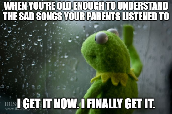 The image shows Kermit the Frog looking out a rain-streaked window with a melancholy expression, paired with text reading: "WHEN YOU'RE OLD ENOUGH TO UNDERSTAND THE SAD SONGS YOUR PARENTS LISTENED TO / I GET IT NOW. I FINALLY GET IT." 

The image relates to the post by capturing a mood of resigned understanding—the "sad songs" parallel the investor's dawning realization that bull markets don't simply run on optimism or buying pressure, but often quietly exhaust available supply, a sobering market truth that becomes clearer with experience.