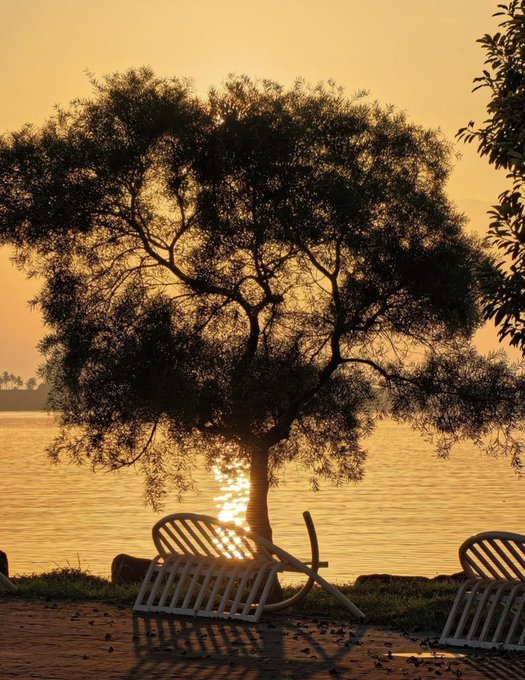 A scenic sunset photo captures the silhouette of a tree and two empty chairs beside a body of water, with sunlight reflecting off the surface.