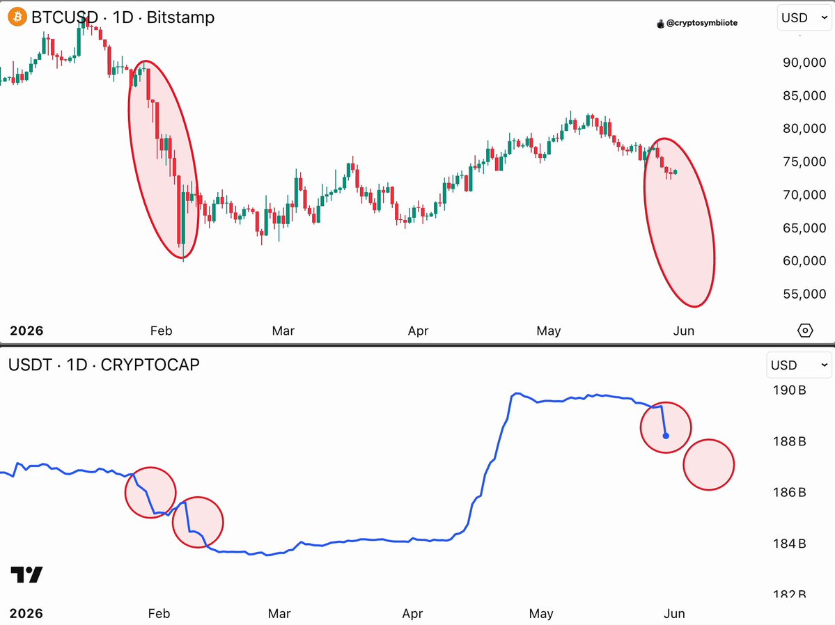 The image features two charts side by side, both displaying Bitcoin price data for the US Dollar (USD) against Bitcoin prices against DDoS attacks (DoS). The chart with USDT on the left side of the screen displays Bitcoin prices relative to the US dollar, while the one with DoS in the background shows Bitcoin prices against DoS.

There are several red and blue circles, representing various Bitcoin values within these charts. Additionally, there is a text overlay that reads "BTCUSDT 10D Dicesans" on the left side of the chart, indicating the type of data being displayed, as well as "USDT 1d Cryptocap" for the same cryptocurrency but in a different currency. The image also contains a website link titled "www.bitcoinchartsandlots.com" located at the bottom right corner.