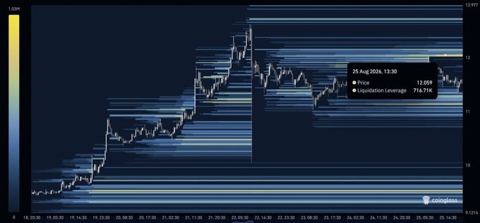 A cryptocurrency liquidation heatmap chart from Coinglass showing price levels and a data point on 25 Aug 2026, 13:30 with a price of 12.059 and liquidation leverage of 716.71K.