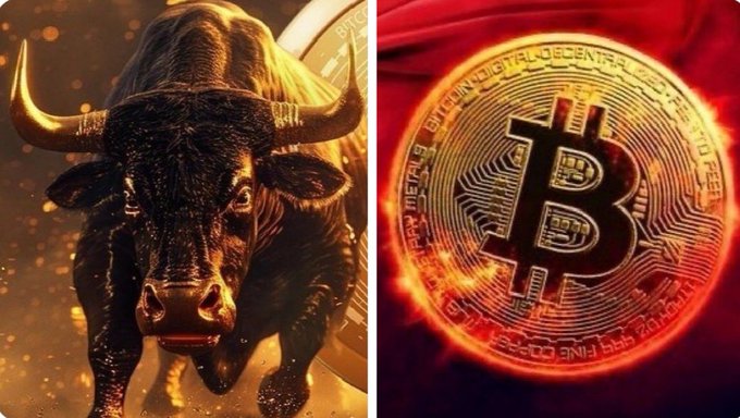 A split image showing a charging golden bull on the left and a glowing Bitcoin coin on the right, symbolizing bullish momentum and corporate Bitcoin accumulation as Strive adds to its treasury.