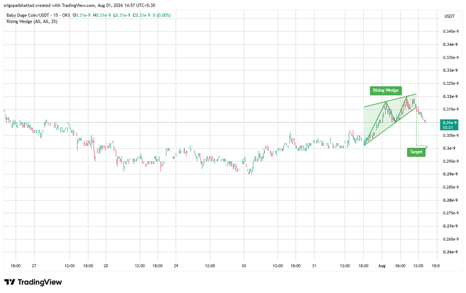 A TradingView candlestick chart for Baby Doge Coin (USDT) on a 15-minute interval showing a rising wedge pattern from July 26 to August 1, 2024, with a target marked around 0.295e-9.