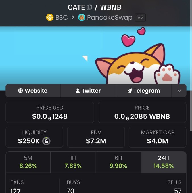 A PancakeSwap V2 trading pair on BSC shows the CATE/WBNB token priced at $0.061248 with a $250K liquidity pool, $7.2M FDV, $4.0M market cap, and 24-hour gains of 14.58%—visual metrics reinforcing the post's call for BNB Chain community members to support the long-standing original CateCoin project.