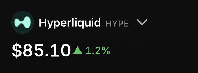 A cryptocurrency price card shows Hyperliquid (HYPE) trading at $85.10, up 1.2% with a green upward triangle. This visualizes the post's point that HYPE is pumping upward even as the broader crypto market—including Bitcoin and meme coins—appears to be declining.
