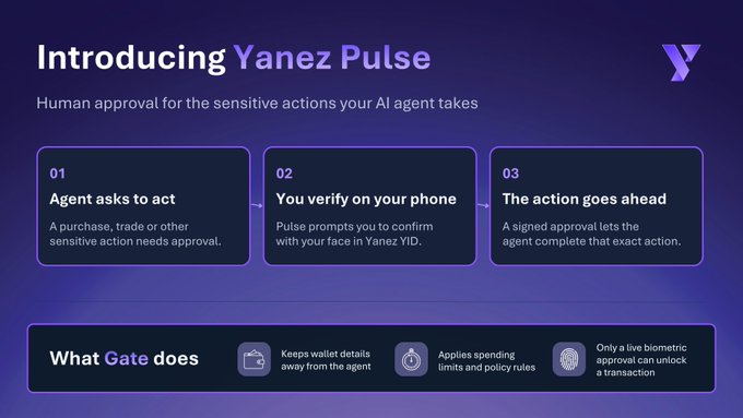 The image introduces "Yanez Pulse" as a human approval system for AI agent actions, outlining a three-step process: the agent requests to act (01), you verify on your phone via face authentication through Yanez YID (02), and the action proceeds with signed approval (03). It highlights that the "Gate" feature keeps wallet details separate from the agent, enforces spending limits, and requires live biometric approval before transactions occur—directly supporting the post's message that Pulse serves as an authorization layer rather than an autonomous agent.