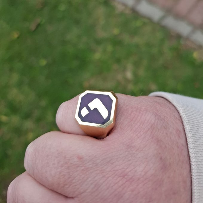 A hand wearing a gold signet ring with a purple octagonal face featuring a white logo, set against a grassy background.