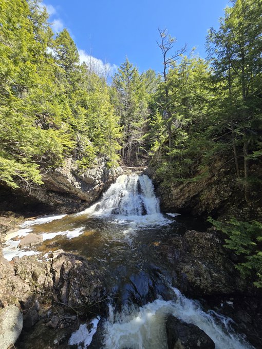 A cascading waterfall flows through a lush evergreen forest with patches of snow on the surrounding rocks, capturing the natural beauty of a crisp spring day. The refreshing scene pairs perfectly with the post's uplifting message of starting a new month with gratitude and positivity.