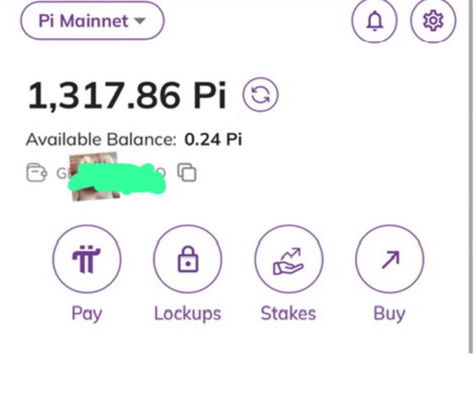 A screenshot of a Pi Mainnet cryptocurrency wallet interface displaying a balance of 1,317.86 Pi with an available balance of 0.24 Pi, and options for Pay, Lockups, Stakes, and Buy.
