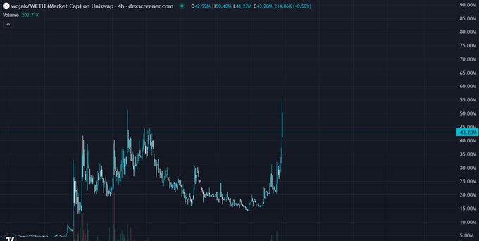 "I'm really bullish on $WOJAK. A few weeks ago, when I mentioned this in my private group chat, I said it was my highest conviction bet over the past few years."