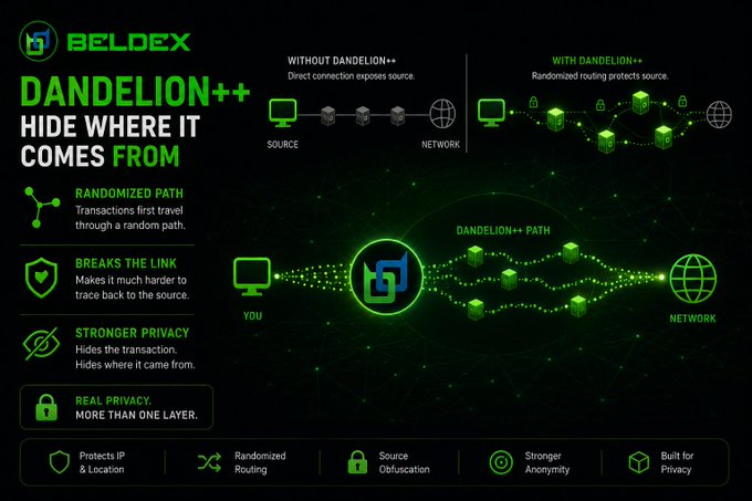 An infographic for "BELDEX DANDELION++" explaining how it hides connection origins through randomized routing, with diagrams showing "WITHOUT DANDELION++" versus "WITH DANDELION++" paths.