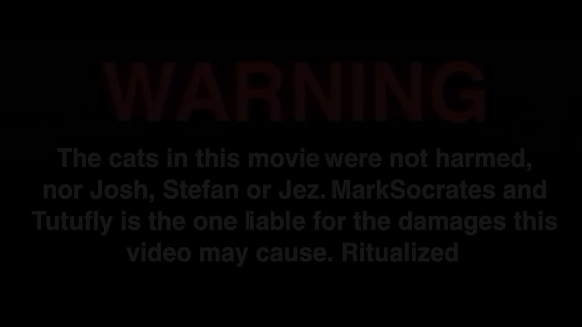 The image features a warning sign with red text that reads "WARNING" against cats being in the movie. The sign also mentions that the cats were not harmed, but instead, they caused damage to the movie. The caption below the warning states that the city is chaotic and wet, and there are people behind it who have built this warning system together.
