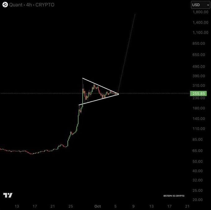 A cryptocurrency price chart for 'Quant' on a 4-hour timeframe in USD, showing price at $255.85 with a symmetrical triangle pattern drawn on the price action.