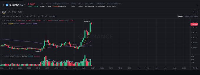 A Binance trading chart for the SUI/USDC pair showing a price of 1.1653, with candlestick data and technical indicators like MA(7), MA(25), MA(99), and MACD.