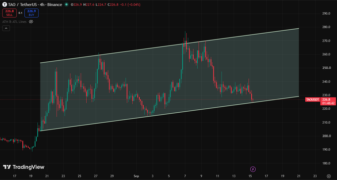 A TradingView 4-hour chart of TAO/USDT (Bittensor) showing price action of $226.9 contained within an ascending parallel channel pattern, with the upper trendline near $278-280 and lower support around $207, illustrating the potential support zone the trader mentioned for a possible re-entry.