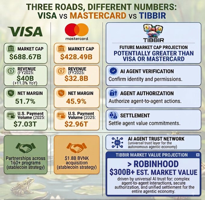 An infographic comparing Visa, Mastercard, and TIBBIR, listing market caps, revenue, and net margins, with a TIBBIR market value projection of '$300B+ EST. MARKET VALUE' greater than Robinhood.