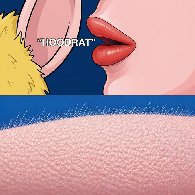 A two-panel meme; the top panel is an anime-style illustration of lips and an ear with the word "HOODRAT," and the bottom panel shows a close-up 3D render of pink skin with peach fuzz hair.