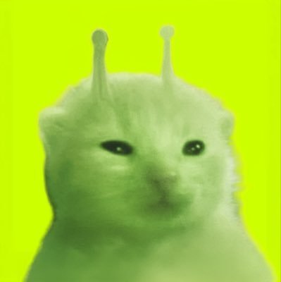 The image shows a green-tinted cat with two antenna-like protrusions on its head against a bright yellow-green background. This whimsical "glorp cat" appears to be the mascot or signature visual for the user @glorpRBH, who is featured in the giveaway post offering 20 GTD (guaranteed) prizes to EVM wallet submissions.