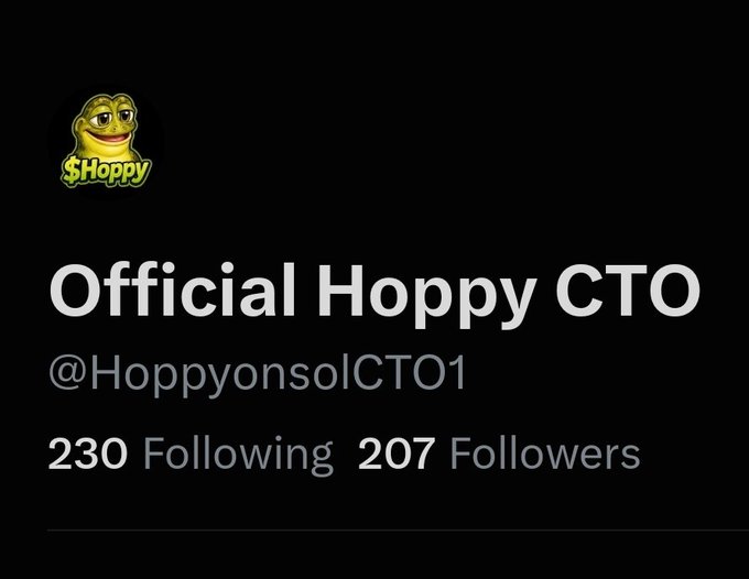 A Twitter/X profile for 'Official Hoppy CTO' (@HoppyonsolCTO1) shows a green frog avatar with the text '$Hoppy', and indicates 230 Following and 207 Followers.