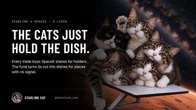Promotional graphic titled 'THE CATS JUST HOLD THE DISH' featuring multiple cats resting on a Starlink satellite dish in space, credited to 'STARLINK CAT' with the tags 'STARLINK ≠ SPACEX . X LAYER'.