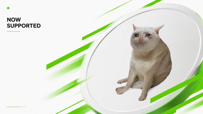 A light-colored cat sits on a white disc amid green diagonal streaks, with "NOW SUPPORTED" text in the upper left corner, visually announcing that $CASHCAT is now accepted for payments on Spendra.