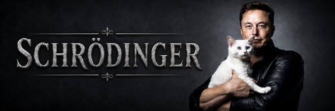 The image shows a banner featuring Elon Musk holding a white cat next to the large text "SCHRÖDINGER," referencing the famous quantum physics thought experiment. This ties into the Solana token $Dinger, which is a Schrödinger's Cat-themed meme coin.