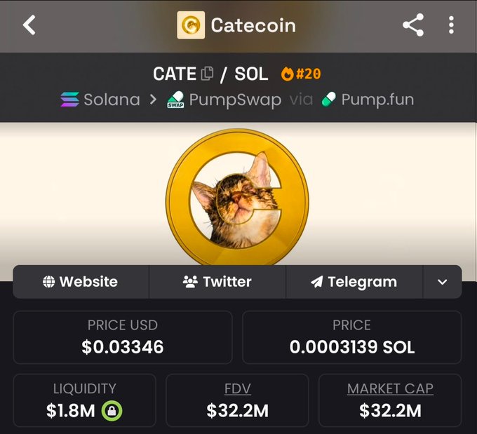 The image shows a cryptocurrency tracker page for "Catecoin" (CATE/SOL), ranked #20 on Solana via PumpSwap and Pump.fun, with a price of $0.03346 USD (0.0003139 SOL), a market cap and FDV of $32.2M, and $1.8M in liquidity, featuring a cat logo. The caption supports the post's bullish sentiment by showing CATE currently at a $32.2M market cap, suggesting significant upside potential to reach $300M.