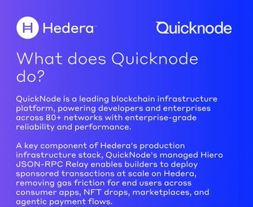 The image displays a blue background with white text that says "QuickNODE" and another message asking, "What does QuickNode do?". Below this, there's additional information about Hedera's product offering a solution for developing blockchain applications by leveraging its infrastructure stack. The text implies that the app should be built upon the provided infrastructure.