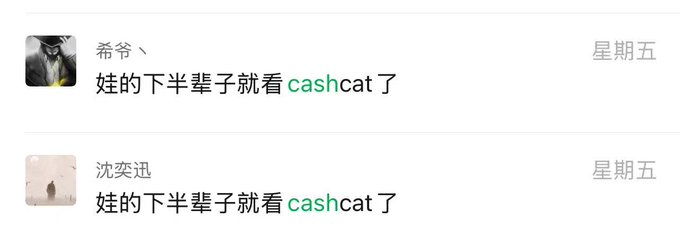 Two social media comments in Chinese from users '希爷丶' and '沈奕迅' both read '娃的下半辈子就看 cashcat 了' (meaning 'The kid's future depends on cashcat').