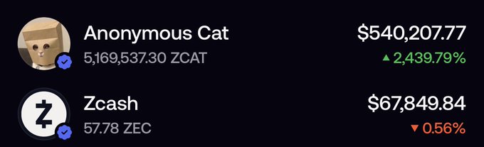 A portfolio display shows "Anonymous Cat" holding $540,207.77 worth of 5,169,537.30 ZCAT (up 2,439.79%) and $67,849.84 worth of 57.78 ZEC (down 0.56%), illustrating the user's point that their ZCAT holdings currently outweigh the potential value of their ZEC airdrop if ZEC reached $10,000.