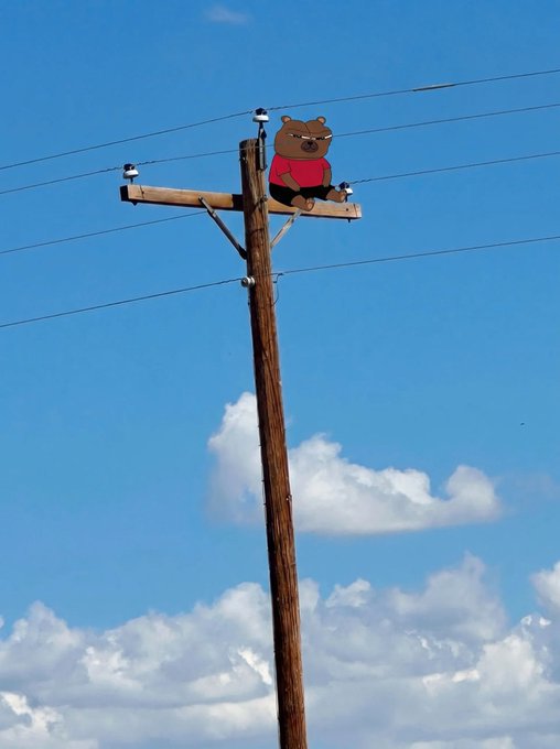 A cartoon bear wearing a red shirt sits atop a wooden utility pole against a blue sky, positioned higher than the power lines. The image plays on the accompanying text "Higher. $BOBO," with the elevated bear symbolizing an upward trajectory or gains.