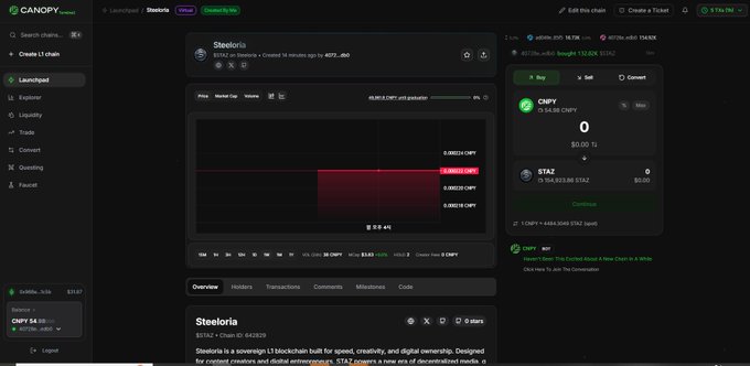 A dark-themed Canopy Protocol trading interface showing a CMPY/STZ liquidity pool with Steeloria branding, displaying pool metrics and a 'Continue' button for swapping.