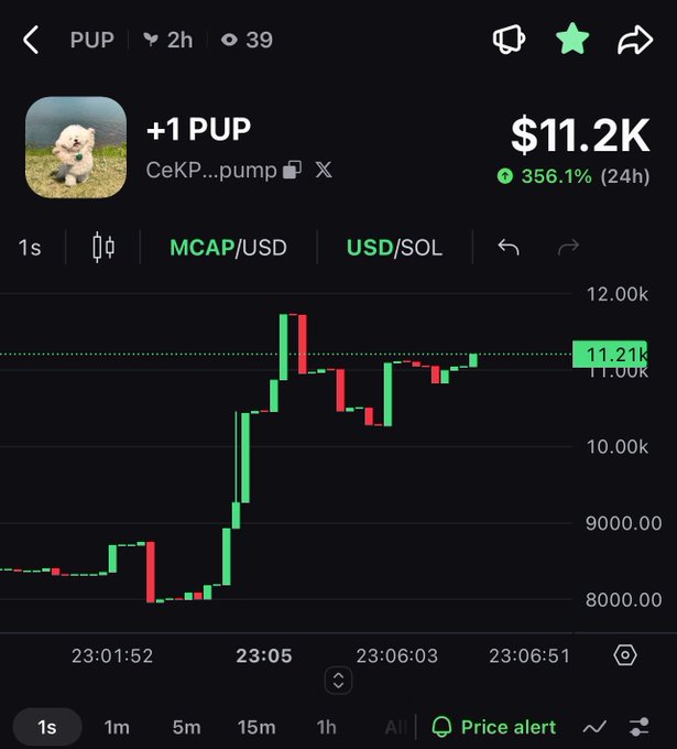 Trading chart showing the PUP token (CeKP...pump on Solana) priced at $11.2K with a 356.1% increase in 24 hours, displayed on what appears to be a mobile trading app.