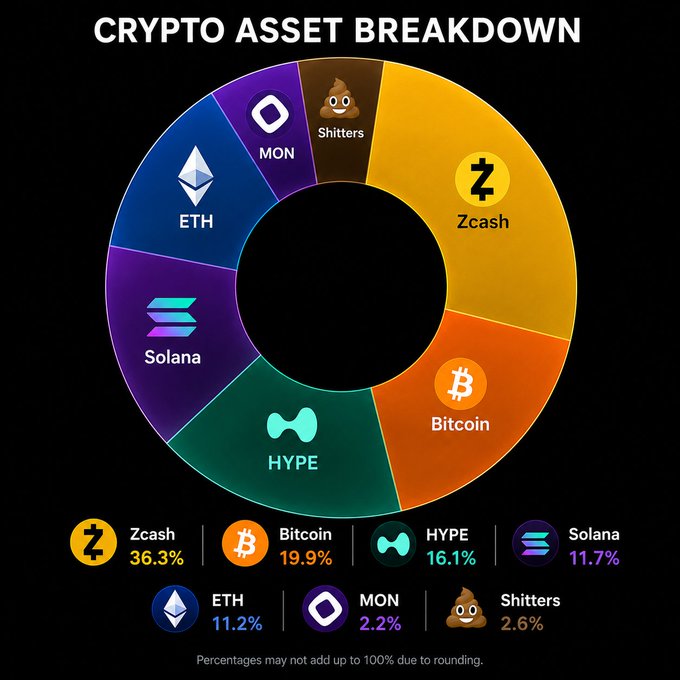 A donut chart titled "CRYPTO ASSET BREAKDOWN" showing the user's portfolio allocation led by Zcash (36.3%), followed by Bitcoin (19.9%), HYPE (16.1%), Solana (11.7%), ETH (11.2%), Shitters (2.6%), and MON (2.2%), illustrating a privacy-focused and diversified crypto holding mix.