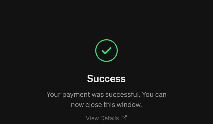 A simple success screen with a green checkmark icon and the text 'Success - Your payment was successful. You can now close this window,' along with a 'View Details' link.