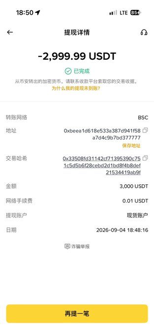 A withdrawal confirmation screen in Chinese showing a completed transaction of -2,999.99 USDT via BSC network with transaction hash visible.