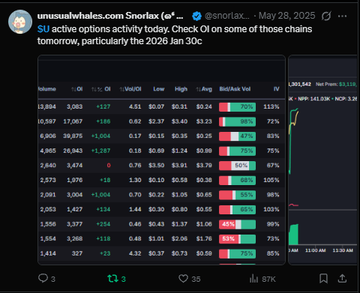 A Snorter (@snortax) tweet from May 28, 2025 displaying a Solana memecoin tracking table with various tokens showing their IDs, current values, 24h changes, and a chart with an 86.61% net profit.