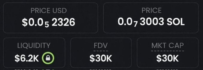 This image shows the market data for a cryptocurrency with a price of $0.052326 USD and a market cap of $30K. The post suggests this data represents a potential investment opportunity, mirroring previous meme coins that saw significant growth.