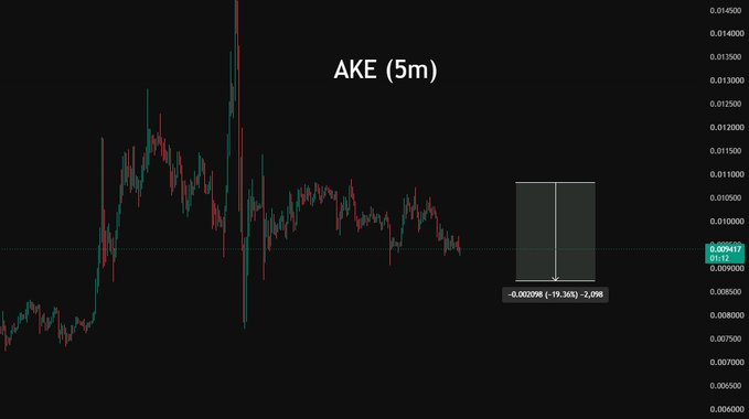 The image displays a 5-minute candlestick chart for AKE/USDT, showing a significant price decline that aligns with the post's claim of a nearly 20% drop, with the visible measurement tool indicating a -19.36% change between the swing high and low.