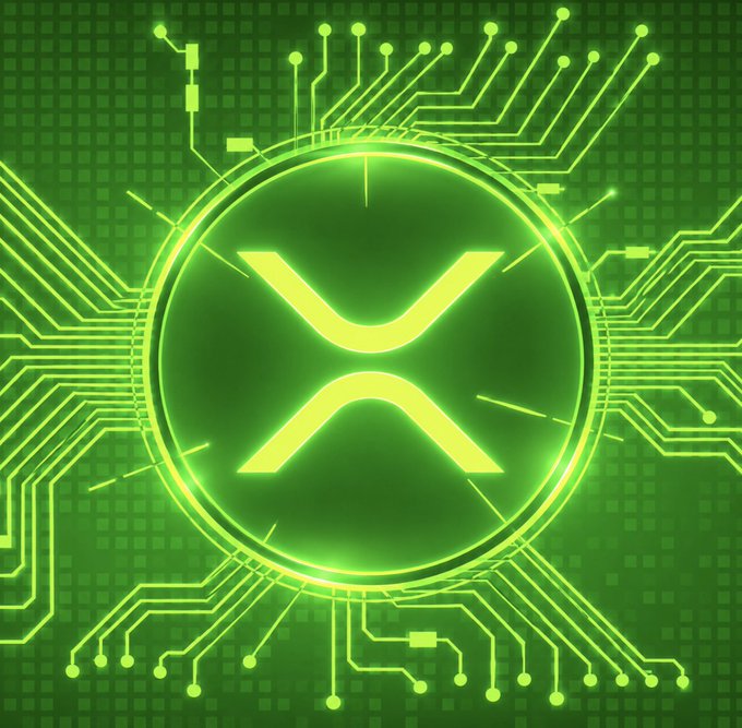 The image displays a glowing green XRP logo encircled by futuristic circuit board patterns, reinforcing the post's message that holders of $XRP have only two viable choices: hold or buy. The tech-inspired design visually emphasizes the cryptocurrency's digital nature and suggests a bullish stance on its future.