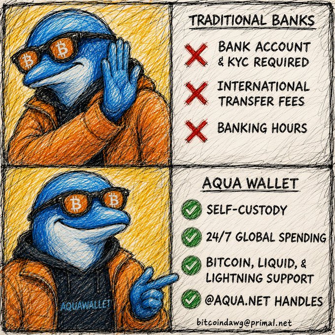 A hand-drawn illustration of a Bitcoin-themed Pepe the Frog comparing 'TRADITIONAL BANKS' (X) with 'AQUA WALLET' (✓), highlighting features like Self-Custody and 24/7 Global Spending.