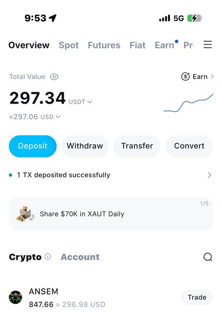 A cryptocurrency trading app screenshot showing a total value of 297.34 USDT (~$297.06 USD), with the user's only holding being 847.66 ANSEM tokens valued at $296.98. The image supports the post by visually confirming the $100-to-$300 profit journey, with the current portfolio approaching the $500 profit goal before selling ANSEM.