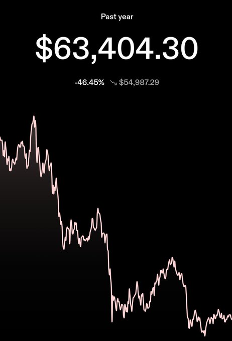 A stock chart screenshot showing a past year value of $63,404.30, down 46.45% ($54,987.29) on a pink line graph against a black background.