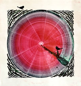 An artistic, abstract circular composition featuring concentric rings of pink and red with sketched black lines around the edges and small bird silhouettes.