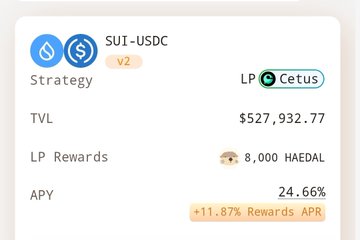 A cryptocurrency dashboard displays a SUI-USDC v2 strategy via Cetus LP, showing a TVL of $527,932.77, 8,000 HAEDAL LP rewards, an APY of 24.66%, and +11.87% Rewards APR.